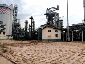 滄州市區(qū)這一大片土地將征收 有四條路和一小學(xué)建設(shè)項(xiàng)目獲批